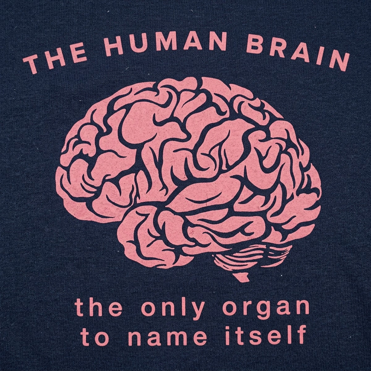 The Human Brain. the Only Organ to Name Itself