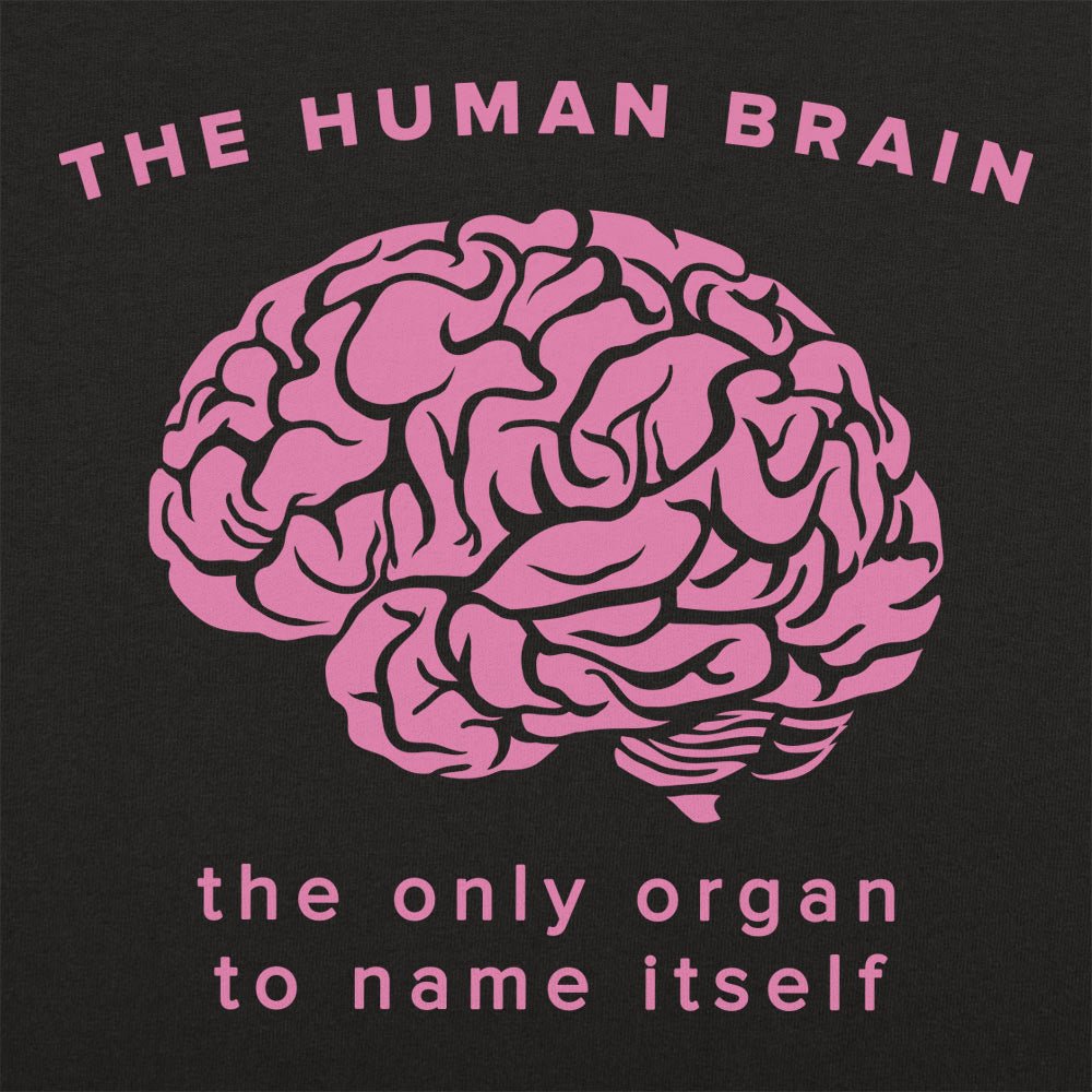The Human Brain. the Only Organ to Name Itself