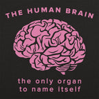 The Human Brain. the Only Organ to Name Itself