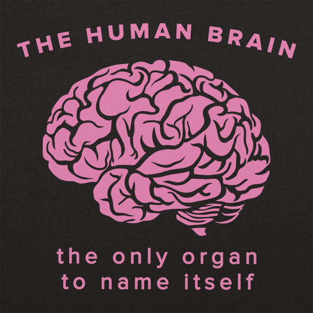 The Human Brain. the Only Organ to Name Itself