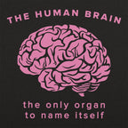 The Human Brain. the Only Organ to Name Itself