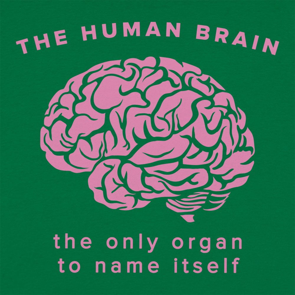 The Human Brain. the Only Organ to Name Itself
