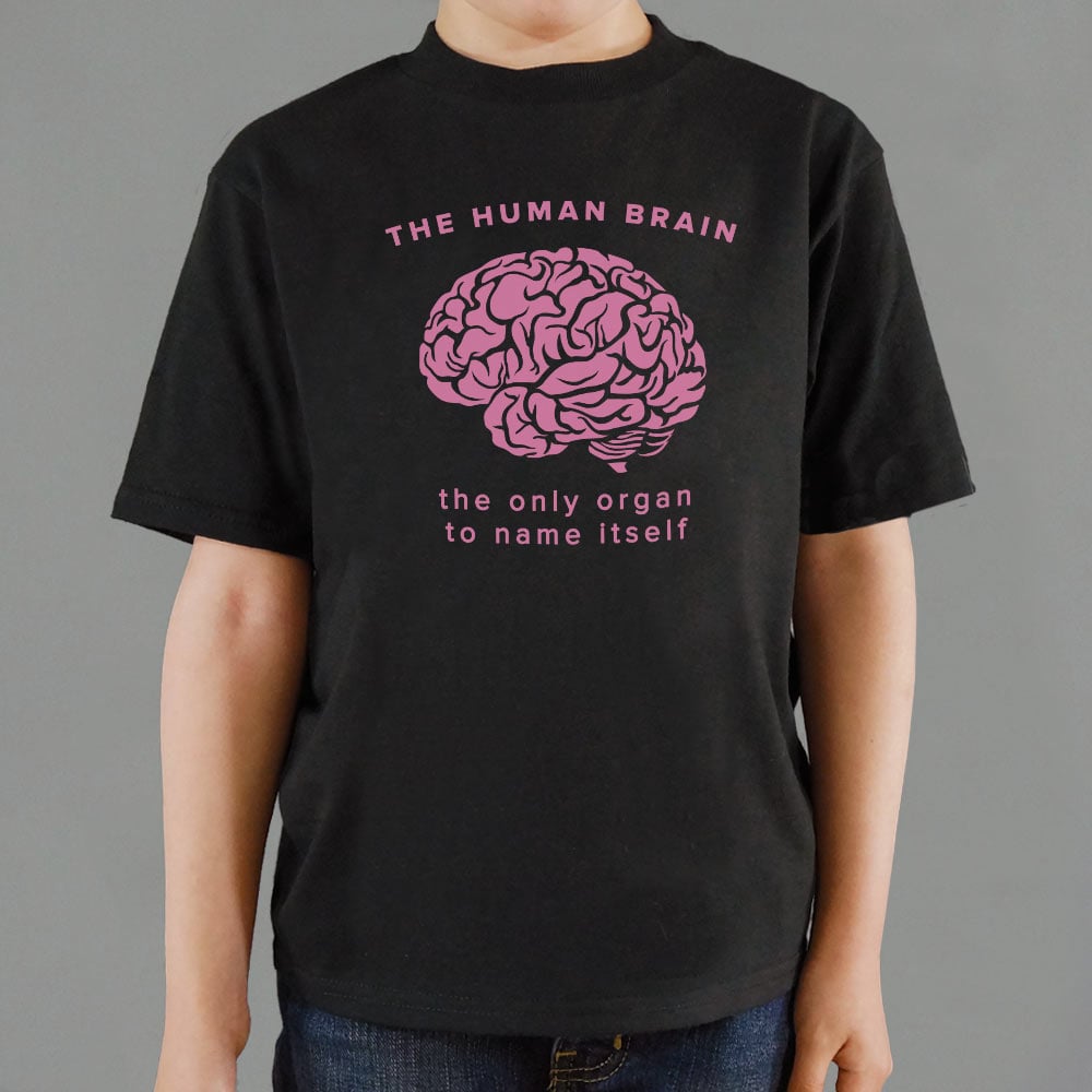 The Human Brain. the Only Organ to Name Itself