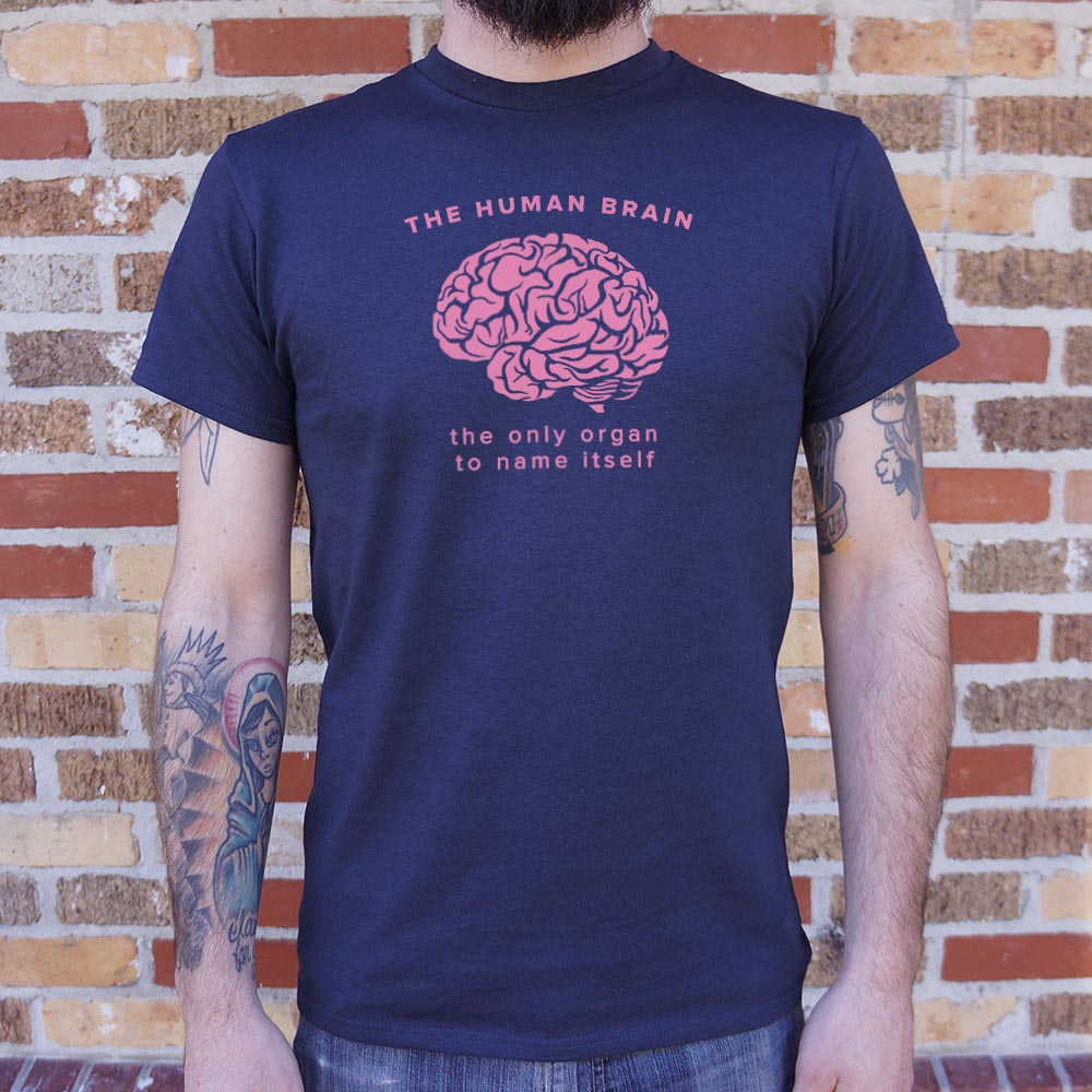 The Human Brain. the Only Organ to Name Itself