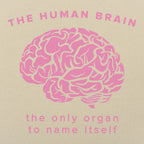 The Human Brain. the Only Organ to Name Itself