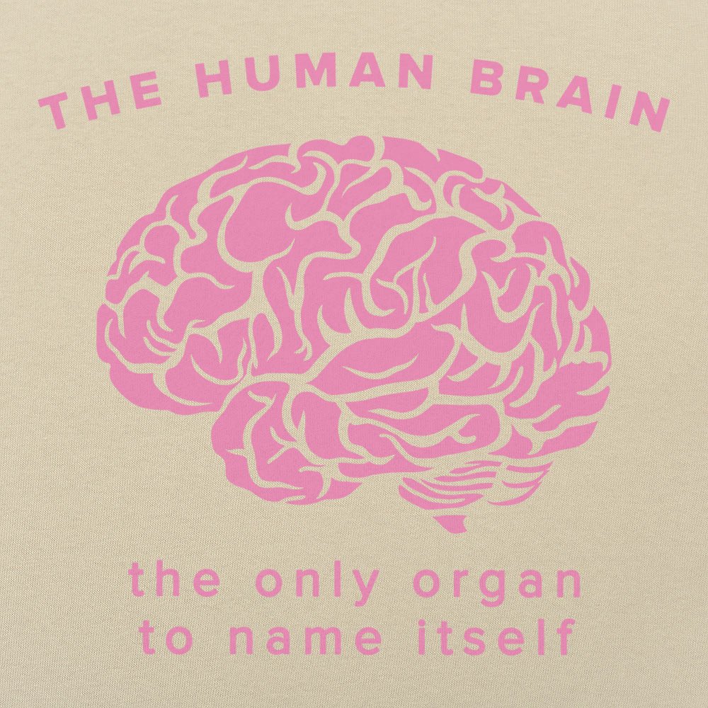 The Human Brain. the Only Organ to Name Itself
