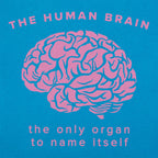 The Human Brain. the Only Organ to Name Itself