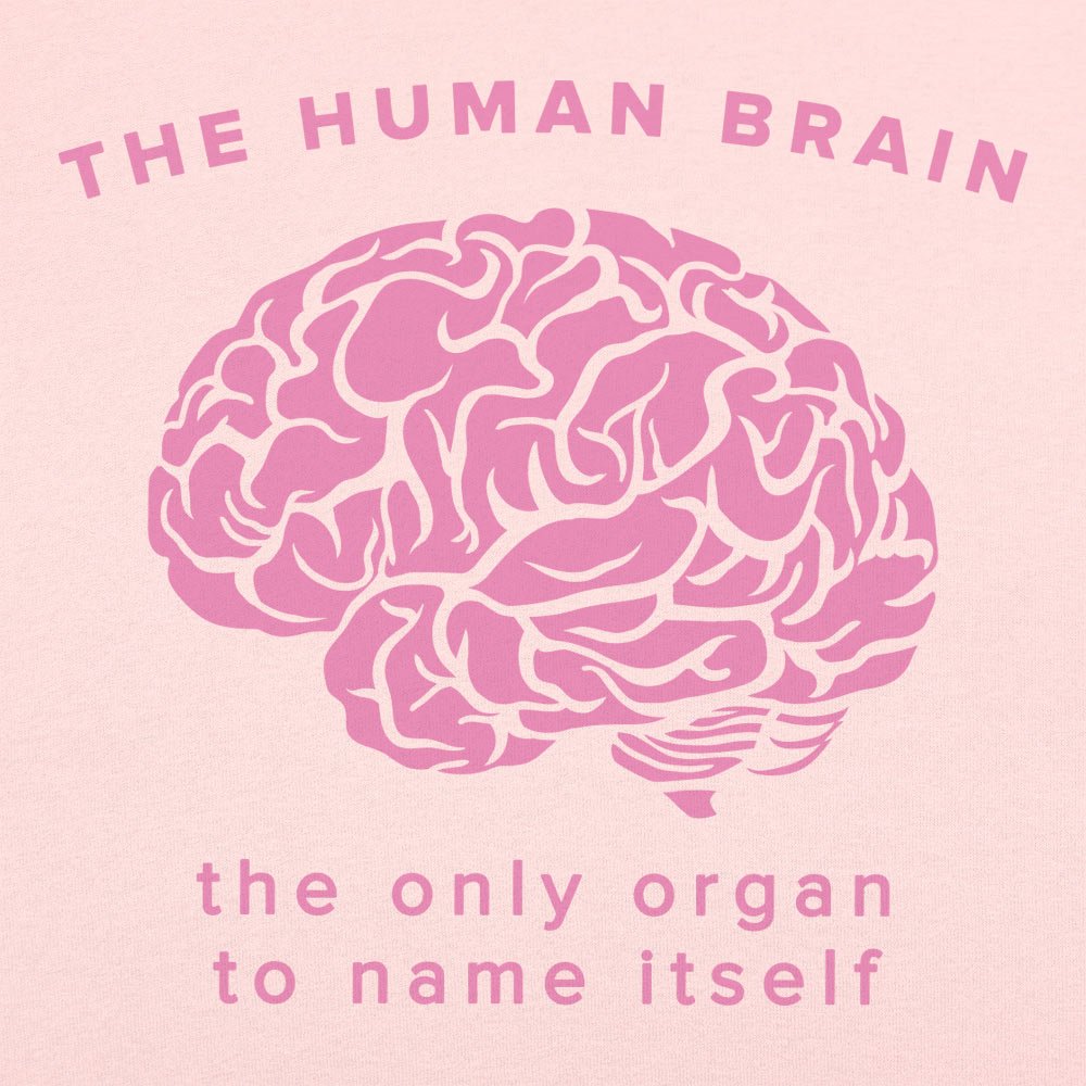 The Human Brain. the Only Organ to Name Itself