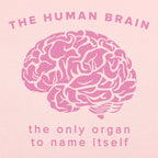 The Human Brain. the Only Organ to Name Itself