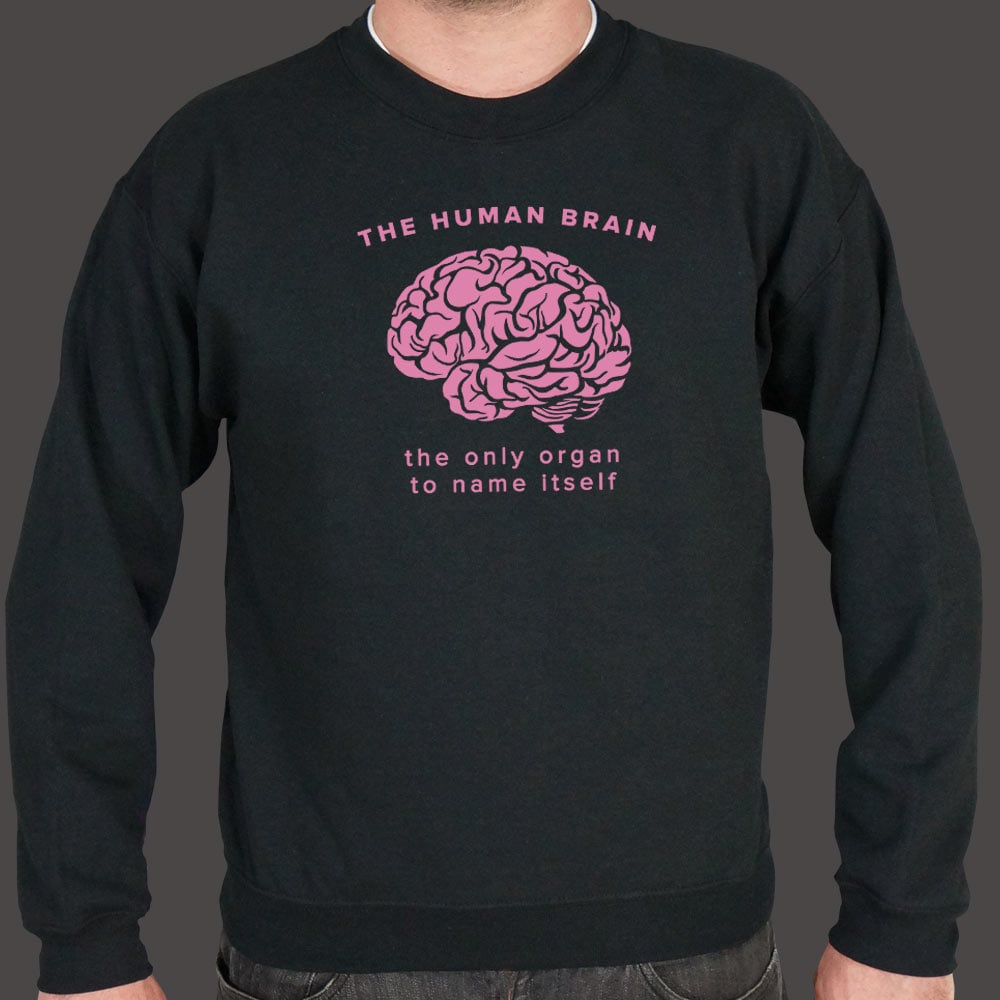 The Human Brain. the Only Organ to Name Itself