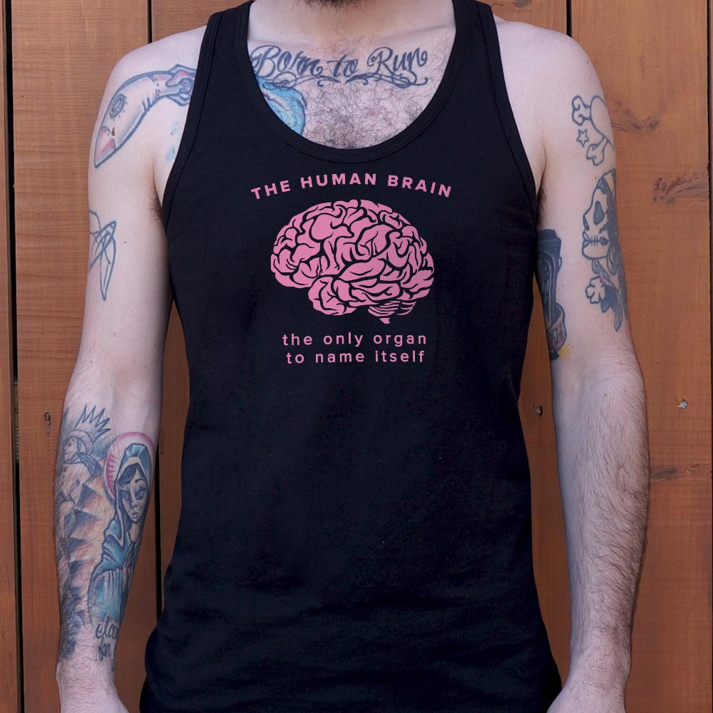 The Human Brain. the Only Organ to Name Itself
