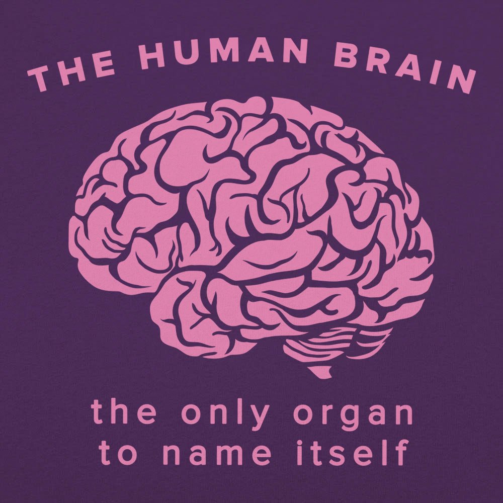 The Human Brain. the Only Organ to Name Itself