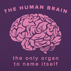The Human Brain. the Only Organ to Name Itself