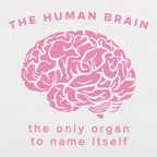 The Human Brain. the Only Organ to Name Itself