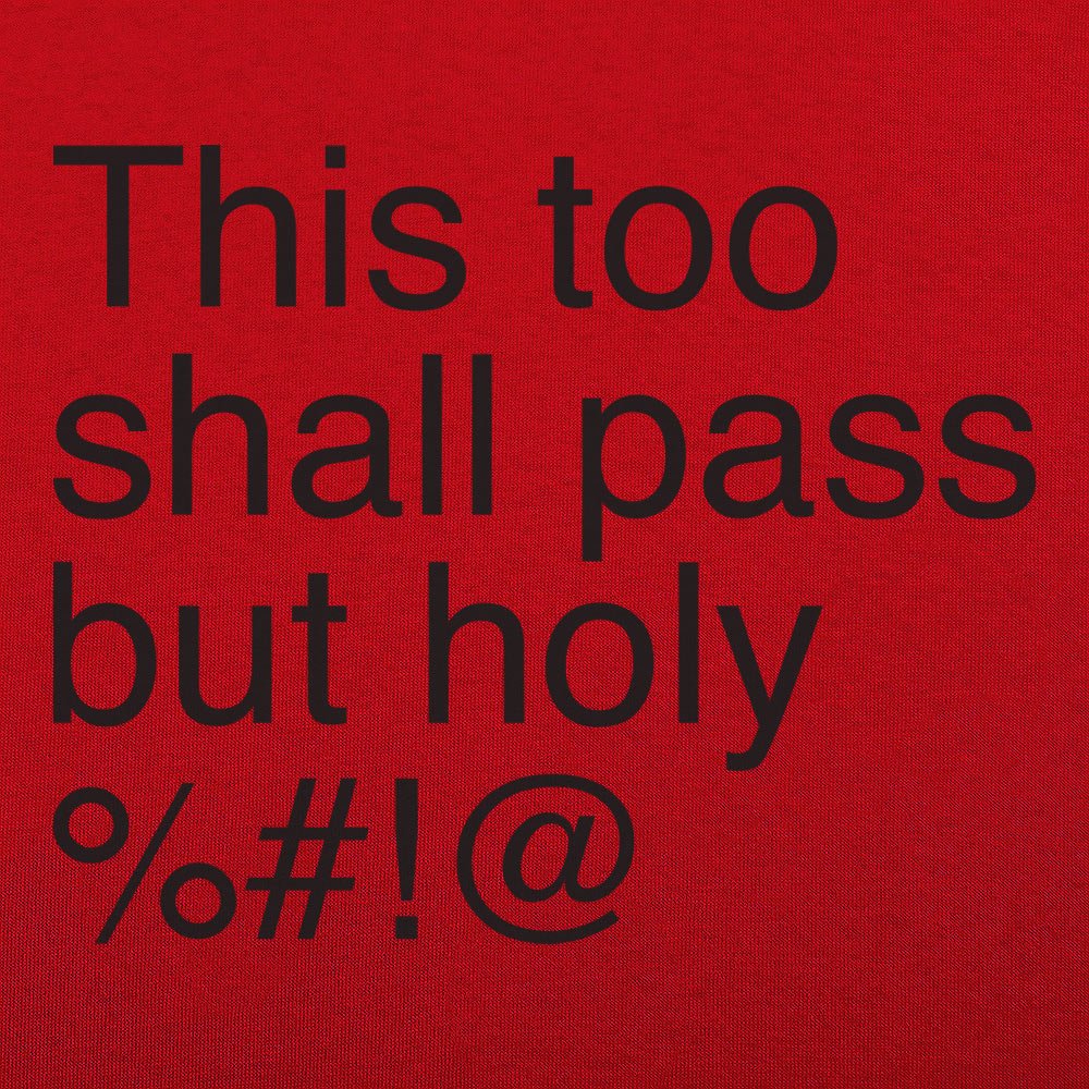 This Too Shall Pass but Holy Censored Swear Word Quote
