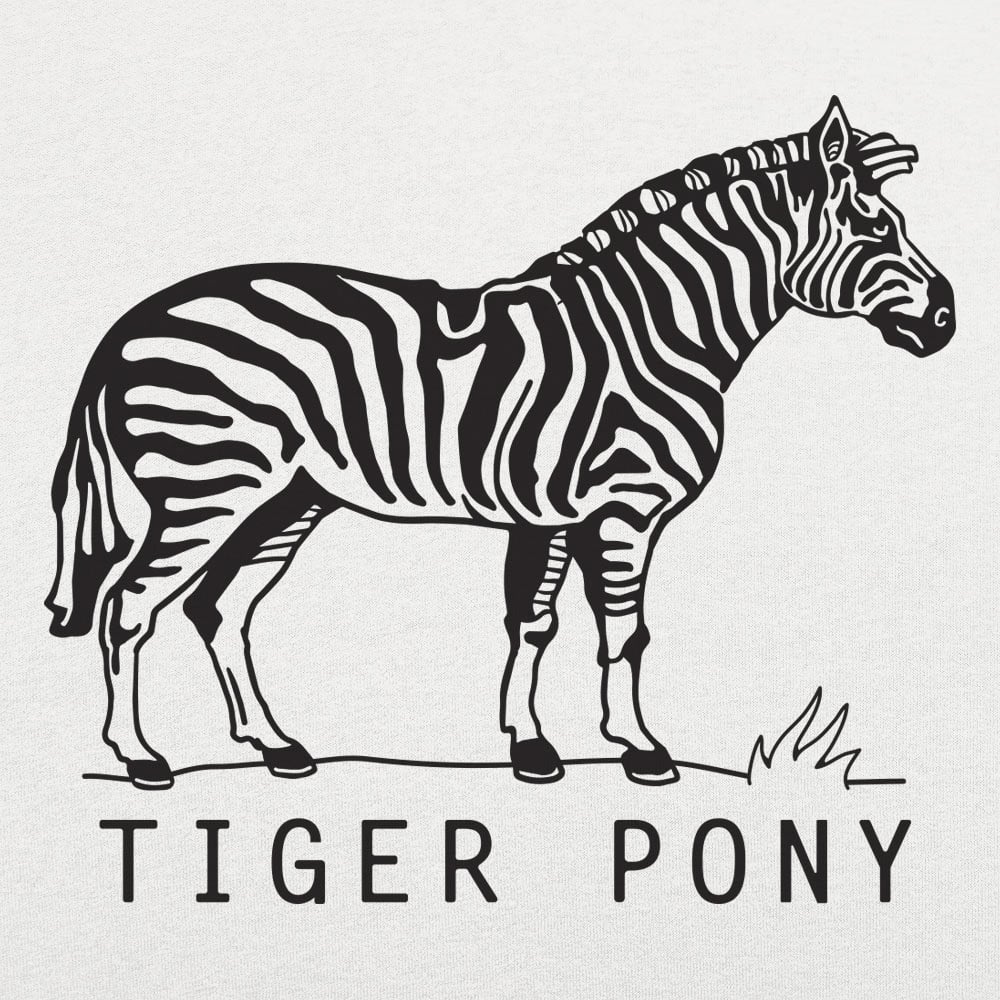 Tiger Pony Striped Zebra Pun Illustration