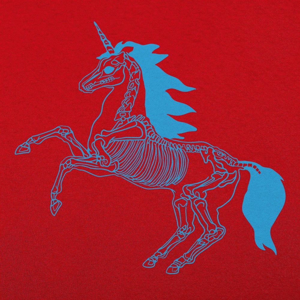 Unicorn Skeleton Anatomy Graphic