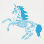 Unicorn Skeleton Anatomy Graphic