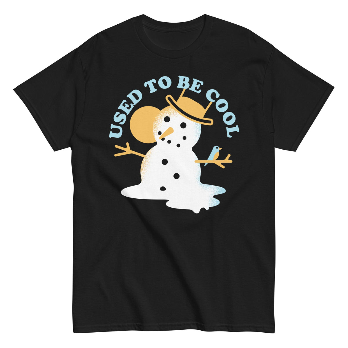 Used To Be Cool Men's Classic Tee