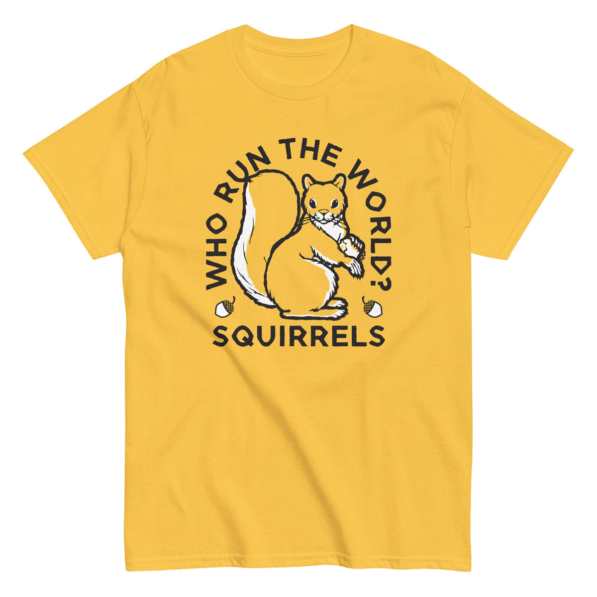Who Run The World? Squirrels Men's Classic Tee