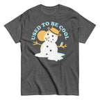Used To Be Cool Men's Classic Tee