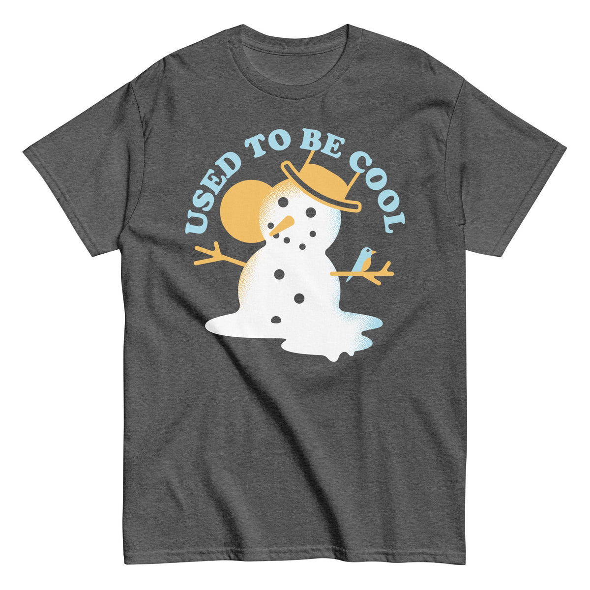 Used To Be Cool Men's Classic Tee