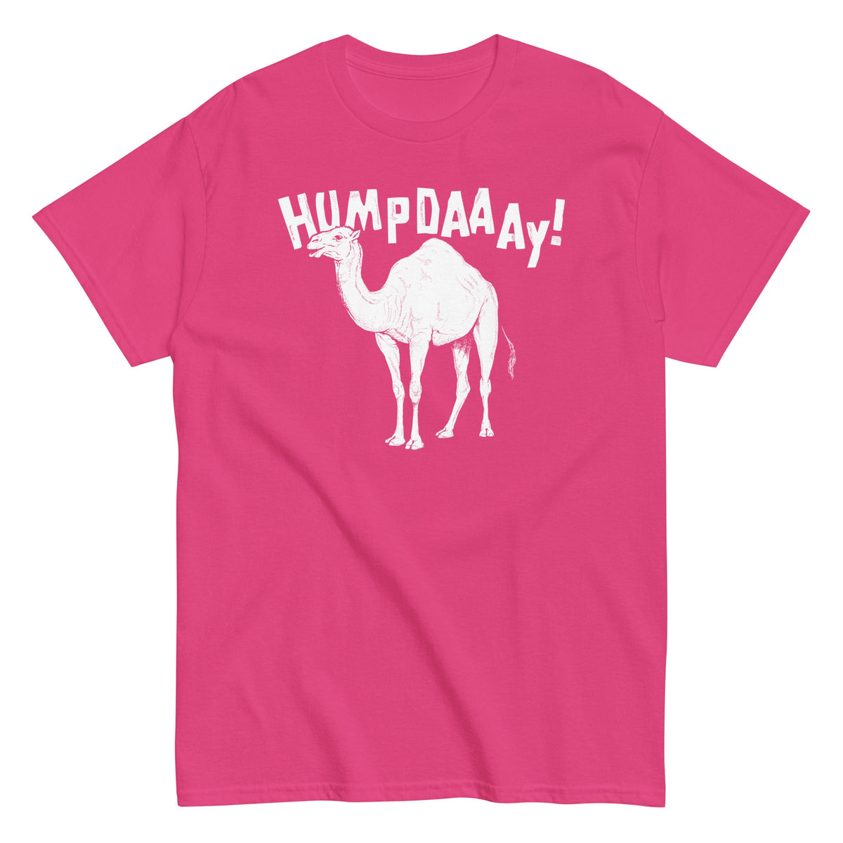 Hump Day! Men's Classic Tee