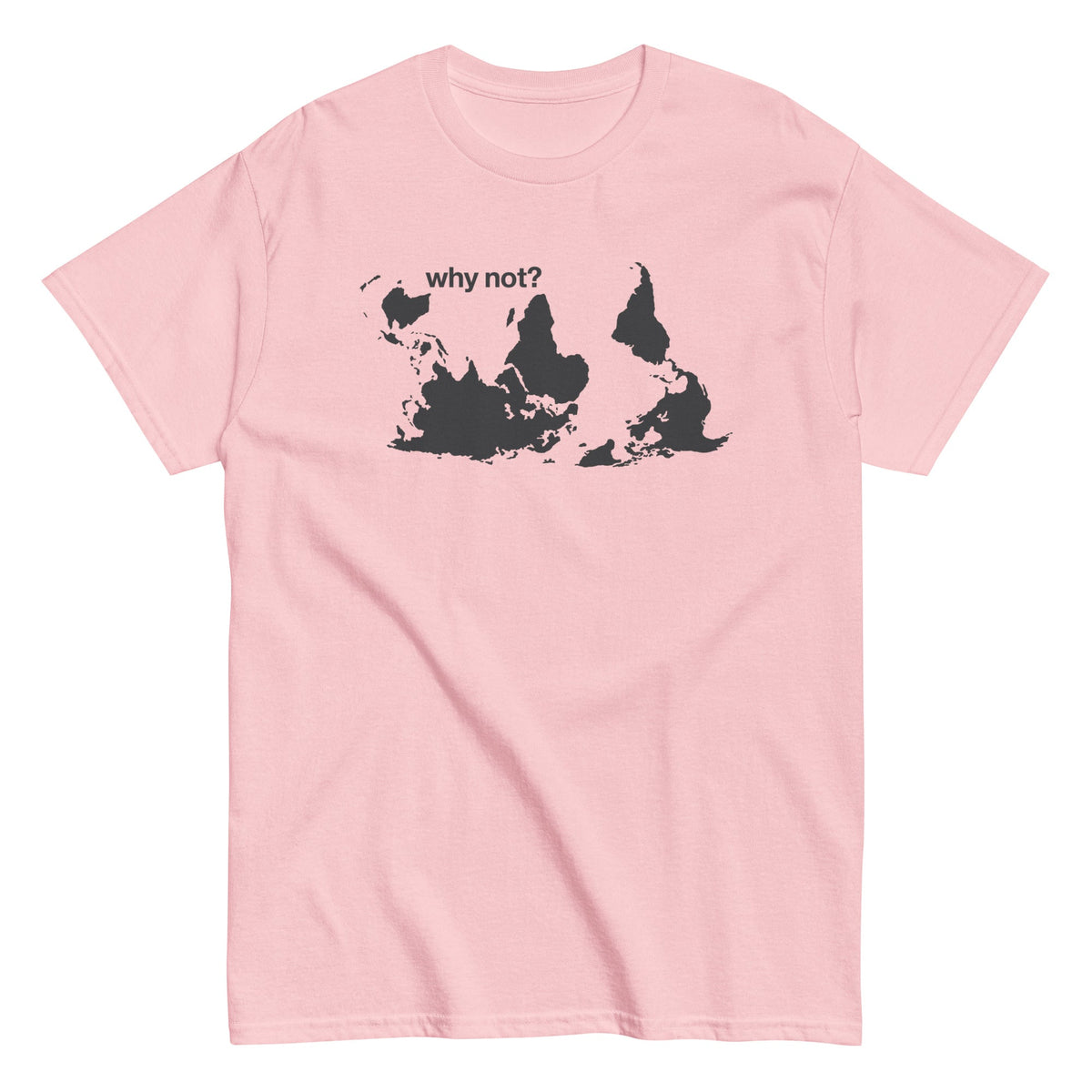 Why Not? Men's Classic Tee