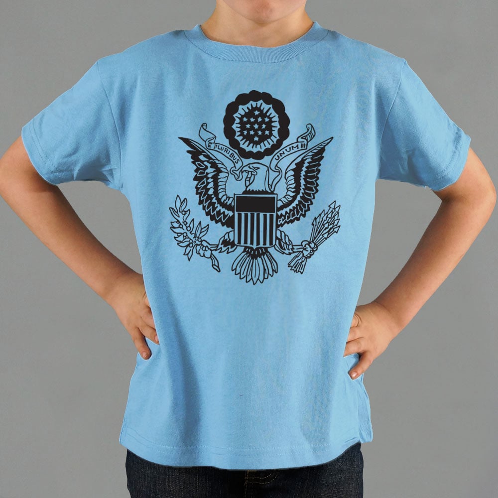 US Eagle Great Seal of the United States Graphic