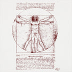 The Vitruvian Man Da Vinci Anatomy Sketch