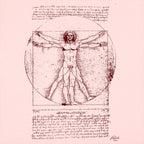 The Vitruvian Man Da Vinci Anatomy Sketch