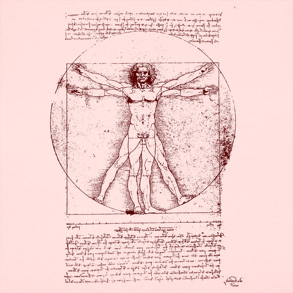 The Vitruvian Man Da Vinci Anatomy Sketch