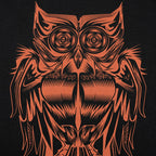 Wild Owl Illustration