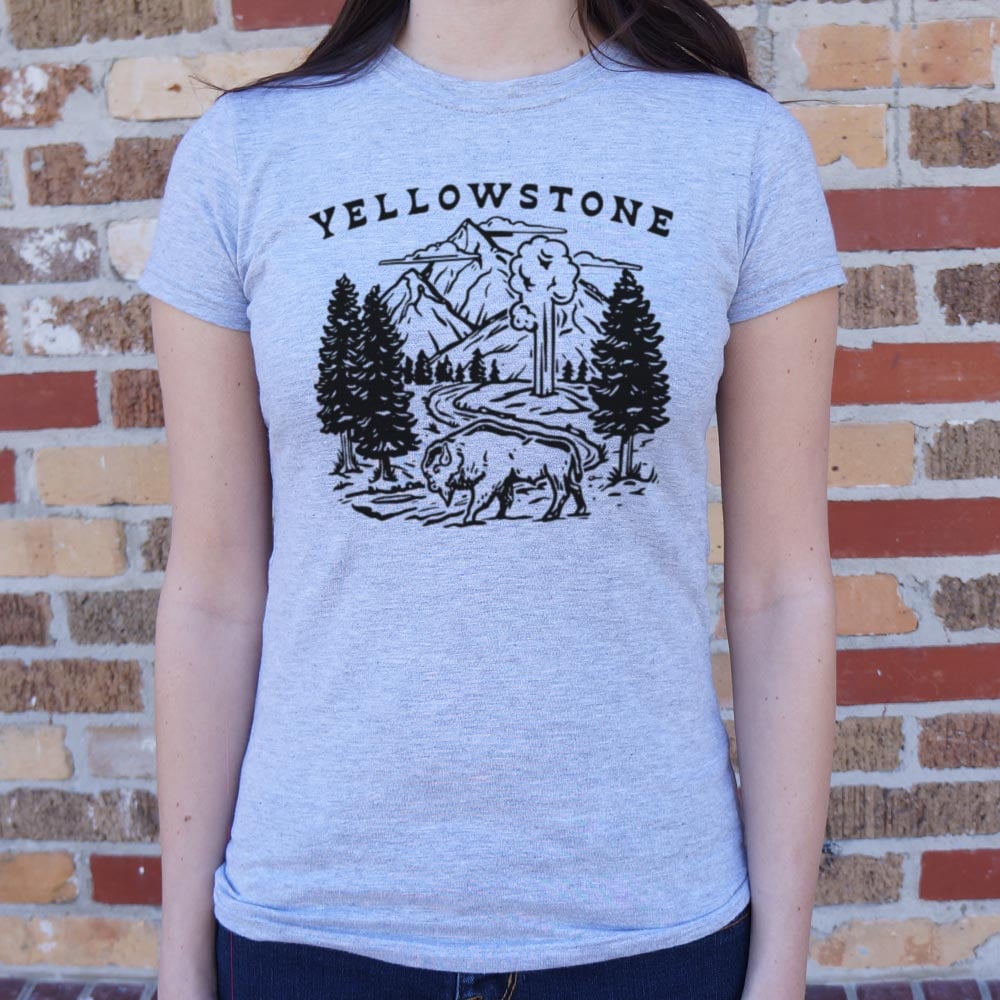 Yellowstone Bison. Geyser. and Mountain Wilderness