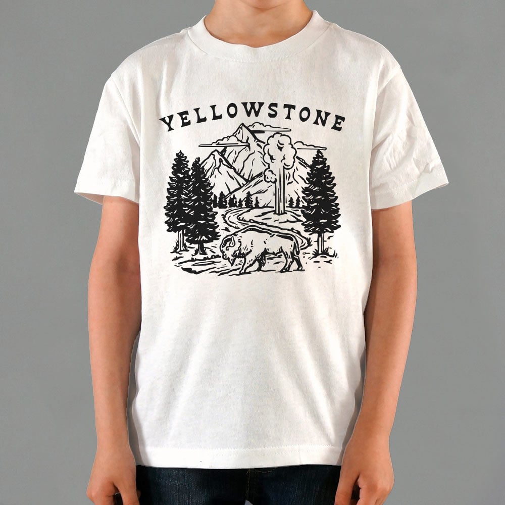 Yellowstone Bison. Geyser. and Mountain Wilderness