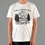 Yellowstone Bison. Geyser. and Mountain Wilderness