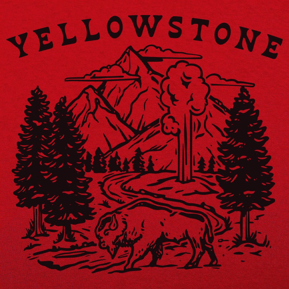 Yellowstone Bison. Geyser. and Mountain Wilderness