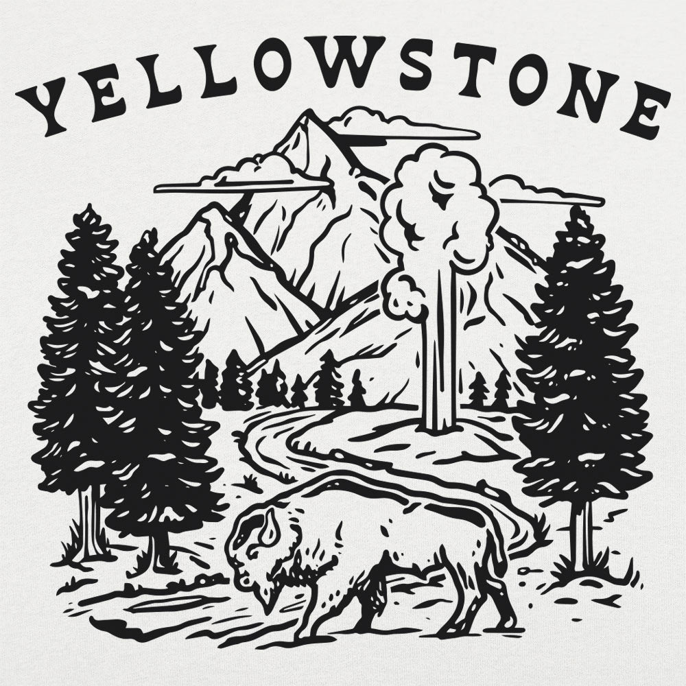 Yellowstone Bison. Geyser. and Mountain Wilderness