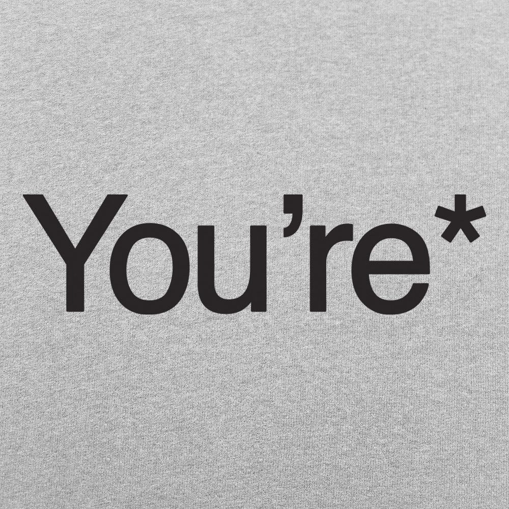 You're* Grammar Correction Meme