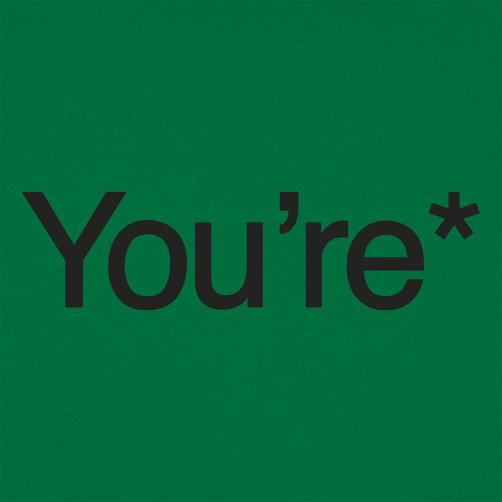 You're* Grammar Correction Meme
