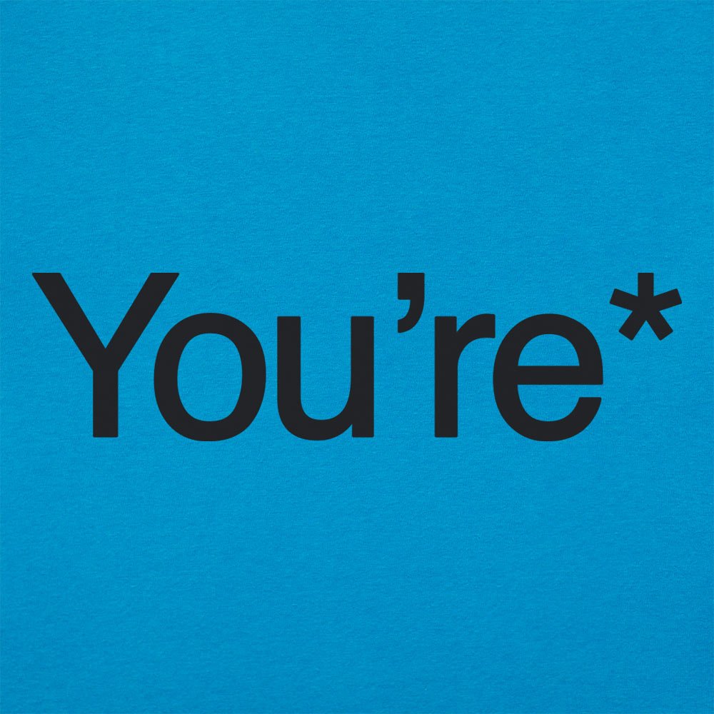 You're* Grammar Correction Meme