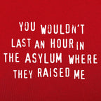 You Wouldn't Last an Hour in the Asylum Where They Raised Me