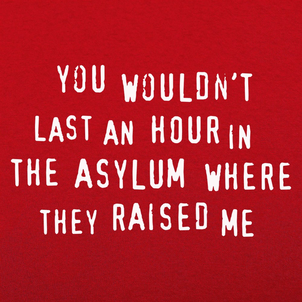 You Wouldn't Last an Hour in the Asylum Where They Raised Me