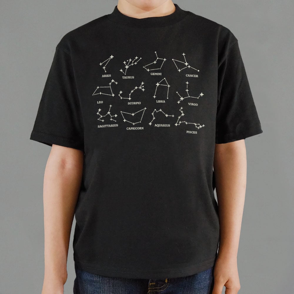 Zodiac Constellations Star Chart of All 12 Astrology Signs